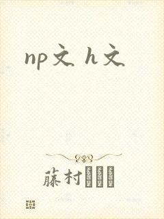 np文 h文