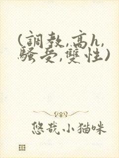 (调教,高h,骚受,双性)