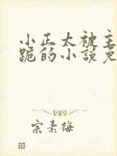 小正太被主人罚跪的小说免费阅读