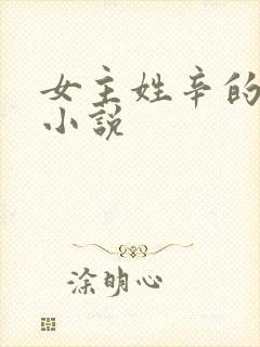 女主姓辛的现代小说封面