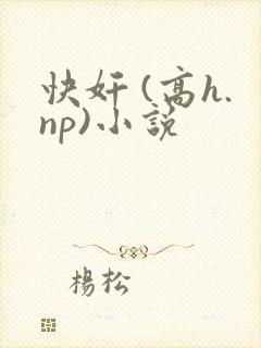快奸 (高h.np)小说封面