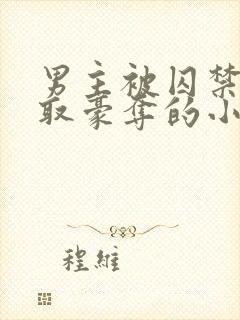 男主被囚禁被强取豪夺的小说笔趣阁