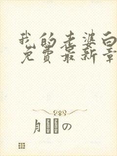 我的老婆白富美免费最新章节