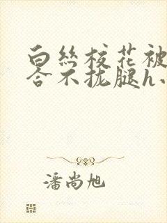 白丝校花被c得合不拢腿h小说