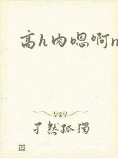 高h肉嗯啊np