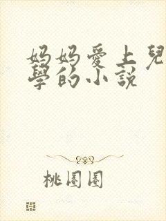 妈妈爱上儿子同学的小说封面