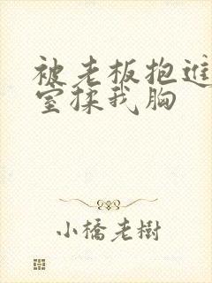 被老板抱进办公室揉我胸