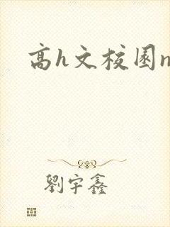 高h文校园np