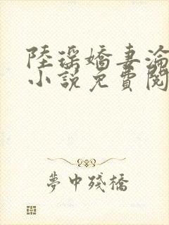 陆瑶娇妻沦陷的小说免费阅读