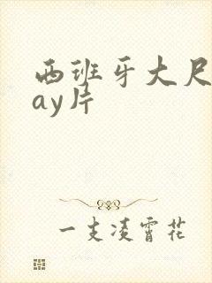 西班牙大尺度gay片