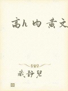 高h 肉 黄文封面