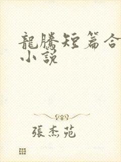 龙腾短篇合集的小说