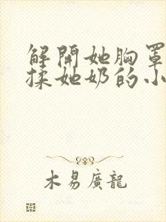 解开她胸罩使劲揉她奶的小说