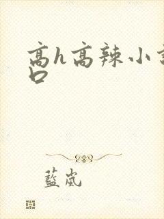 高h高辣小说粗口