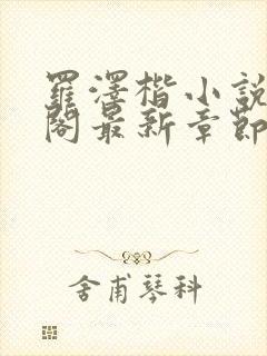 罗泽楷小说笔趣阁最新章节