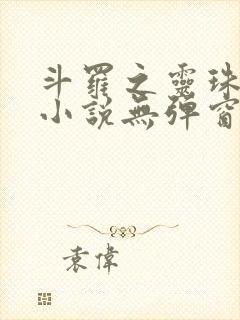 斗罗之灵珠神剑小说无弹窗无广告