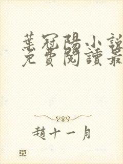 叶冠阳小说全文免费阅读最新章节