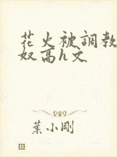 花火被调教成肉奴高h文