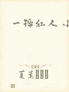 一号红人 小说