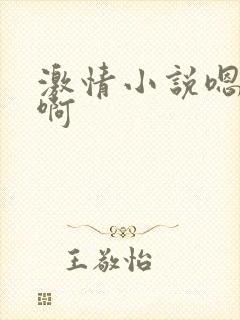 激情小说嗯嗯啊啊