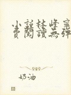 小说林峰宁欣免费阅读无弹窗