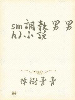 sm调教男男(h)小说