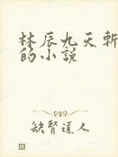 林辰九天斩神诀的小说封面