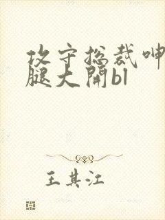 攻守总裁呻吟双腿大开bl