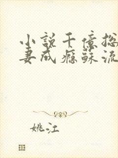 小说千亿总裁宠妻成瘾苏流云