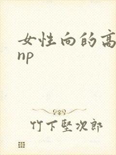 女性向的高h文np封面