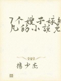 7个嫂子嫁给叶凡的小说免费阅读封面