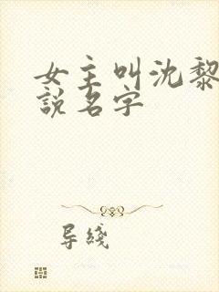 女主叫沈黎的小说名字