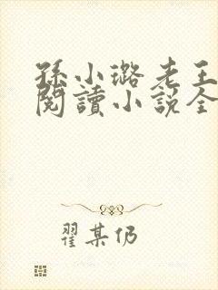 孙小璐老王免费阅读小说全文最新章