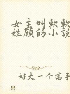 女主叫软软男主姓顾的小说