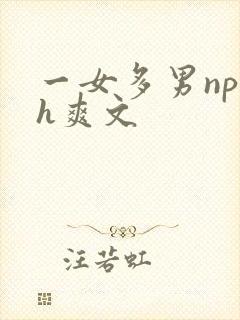 一女多男np巨h爽文