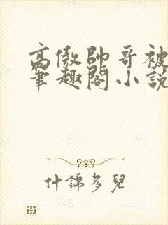 高傲帅哥被催眠笔趣阁小说