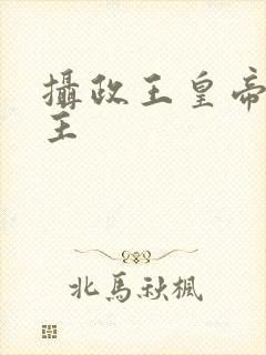 摄政王皇帝双男主