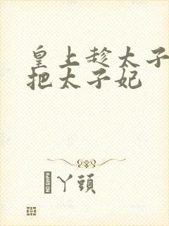 皇上趁太子出宫把太子妃