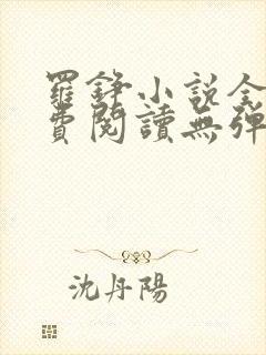 罗铮小说全文免费阅读无弹窗