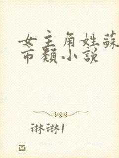 女主角姓苏的都市类小说