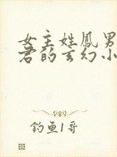 女主姓凤男主姓君的玄幻小说封面