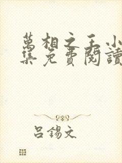 万相之王小说全集免费阅读无弹窗