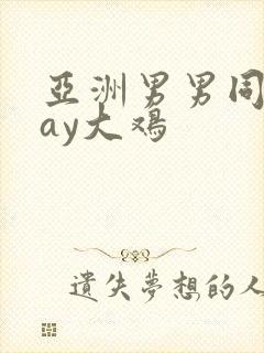 亚洲男男同志gay大鸡