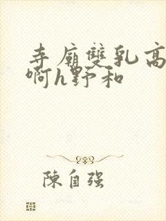 寺庙双乳高耸嗯啊h野和封面