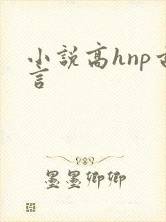 小说高hnp古言