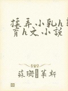 揉弄小乳h帮发育h文小说