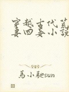 穿越古代荒年三妻四妾小说