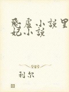 飞卢小说里的令妃小说