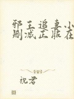 邪王追妻小说无删减正版在线阅读