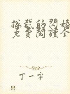 总裁的闪婚新妻免费阅读全文封面